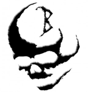 Logo tímu BERSERKER