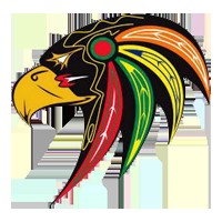 Logo tímu Hbk SERAFINS Eagles