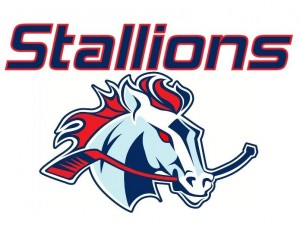 Logo tímu Hbk Stallions