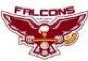 Logo tímu Falcons Stará Ľubovňa