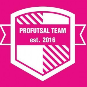 Logo tímu ProFutsal Team