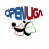 Openliga - seniori logo